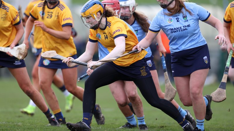 Job Opportunities with the Camogie Association