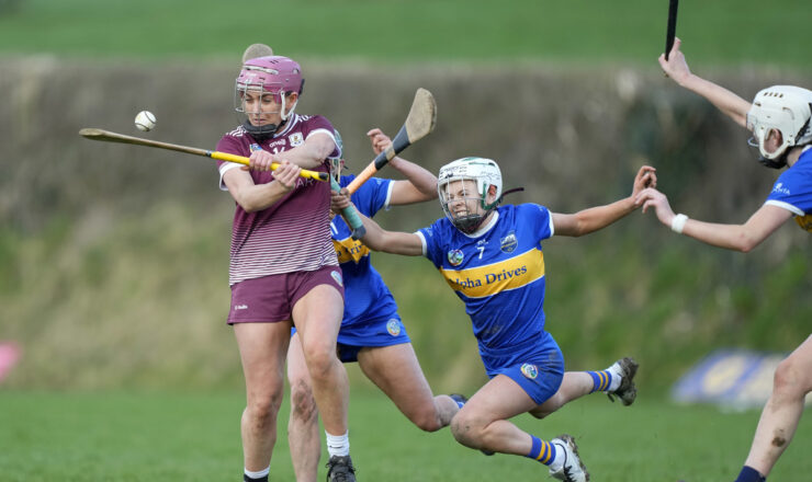 Very Camogie Leagues Division 1A Round 2 Tipperary v Galway